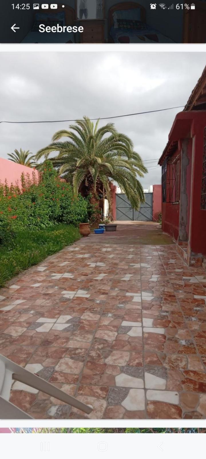 Bed and Breakfast Palmtree El Yadida Exterior foto